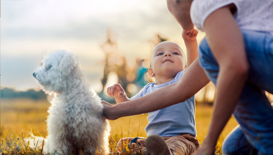 Young Baby with mother