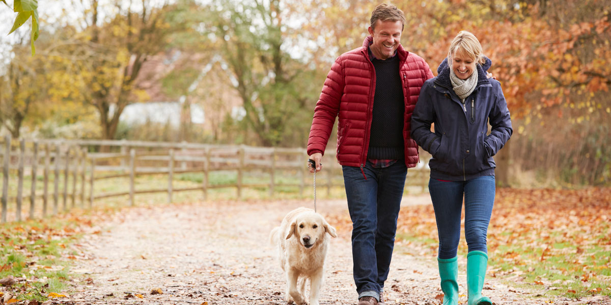 Couple walking with dog